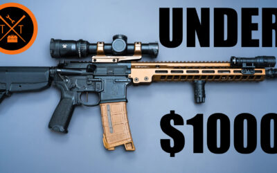 5 Best AR 15 on a Budget…Under $1000 (VIDEO)